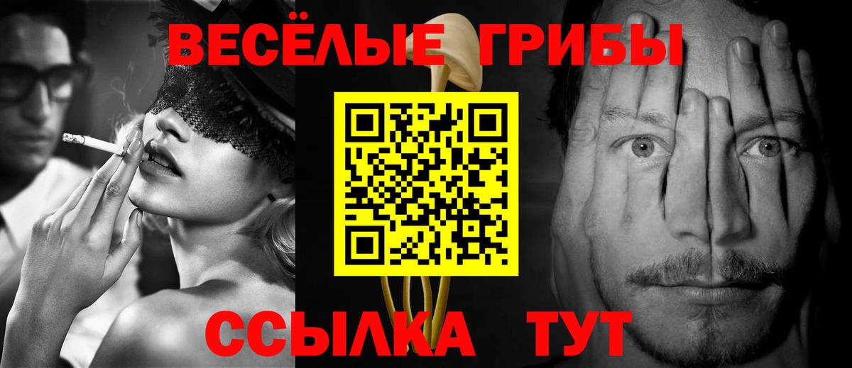 Псилоцибиновые грибы GOLDEN TEACHER  Аргун 