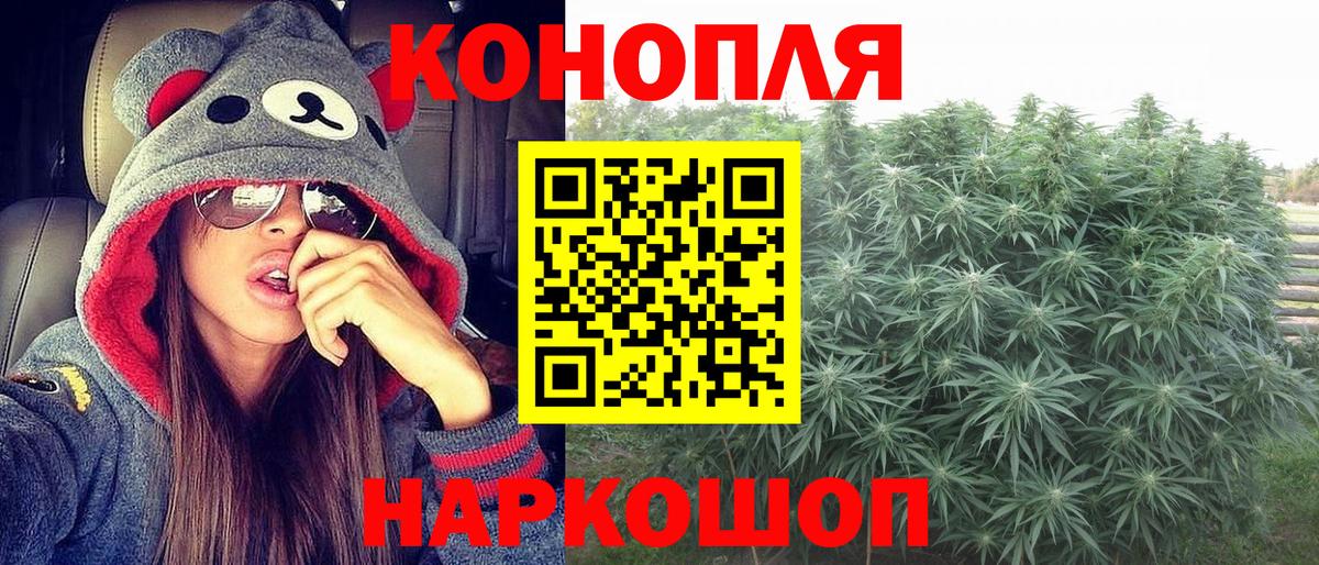 МАРИХУАНА Ganja  Бошки Шишки сатива  Аргун 